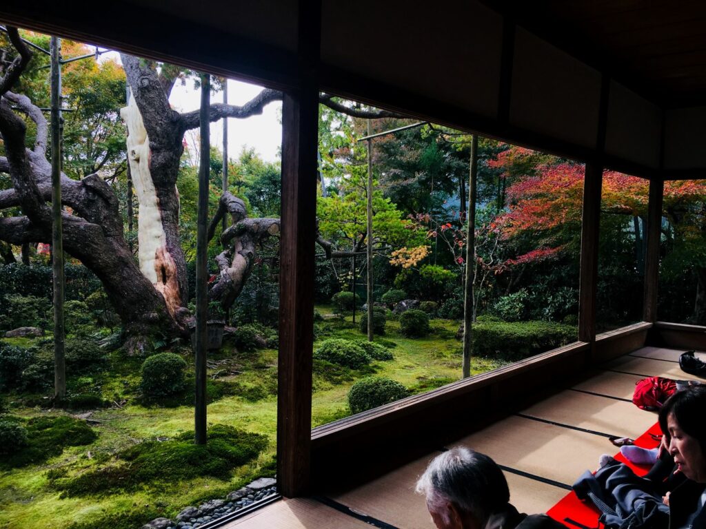 紅葉はぜひ京都の大原へ 宝泉院 公式 M S Hotel エムズホテル 京都に生まれ京都で育つデザイナーズホテルグループ