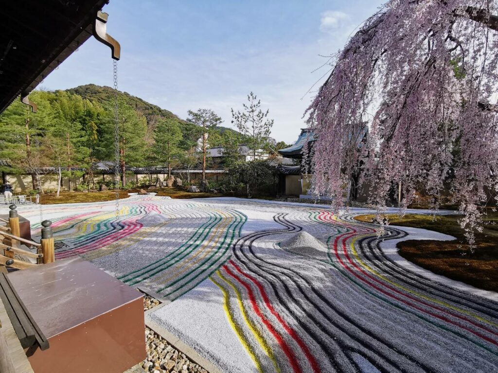 年の高台寺の桜の開花情報 公式 M S Hotel エムズホテル 京都に生まれ京都で育つデザイナーズホテルグループ